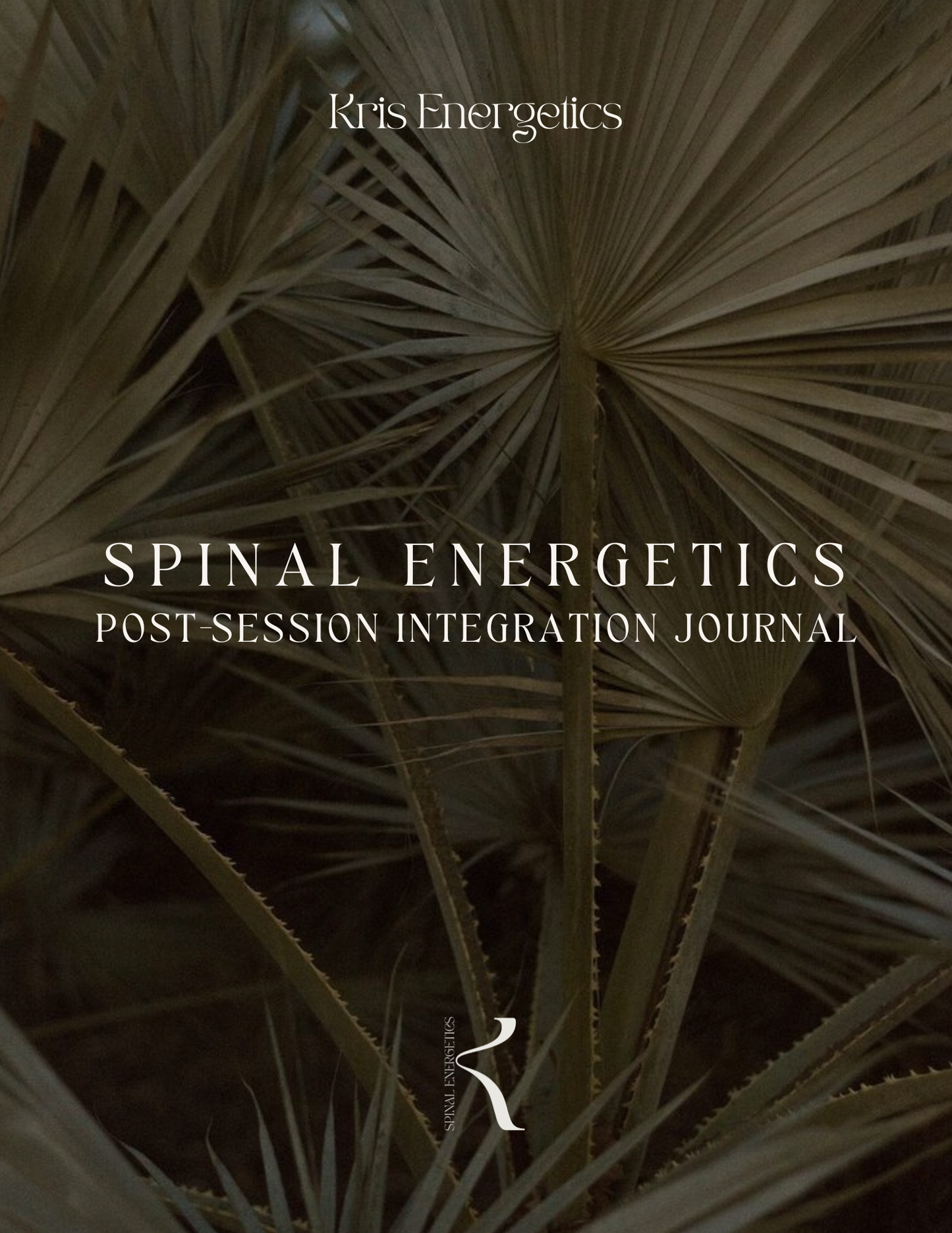 Post-session Integration Journal